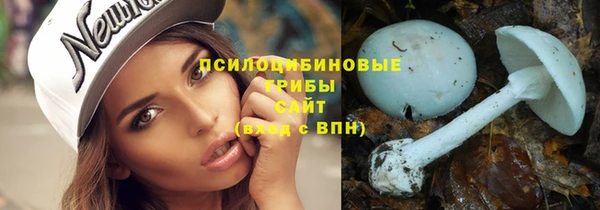 ECSTASY Инта